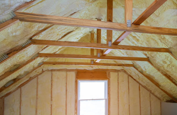 Best Geographic-Specific Insulation Services in Horton, KS