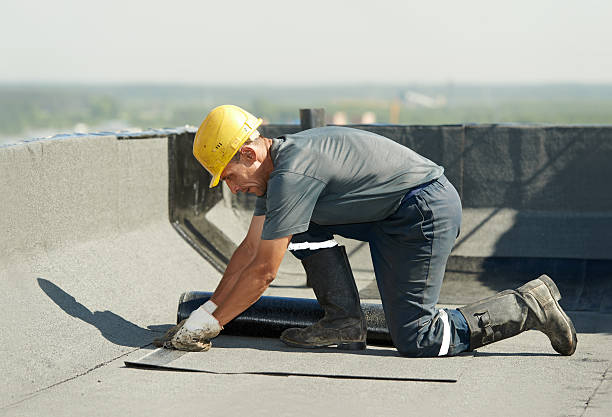 Best Specialized Insulation Services in Horton, KS